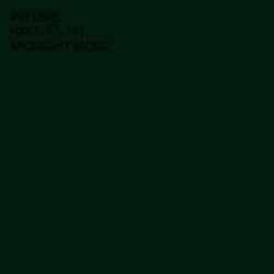 #011B0E - Midnight Moss Color Image